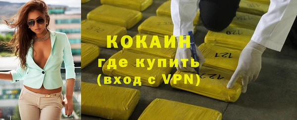 индика Горно-Алтайск