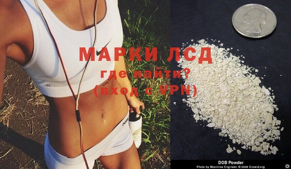 сатива Горнозаводск