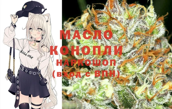 индика Горно-Алтайск