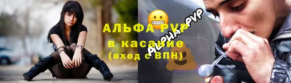 сатива Горнозаводск