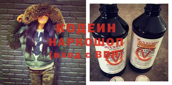 индика Горно-Алтайск
