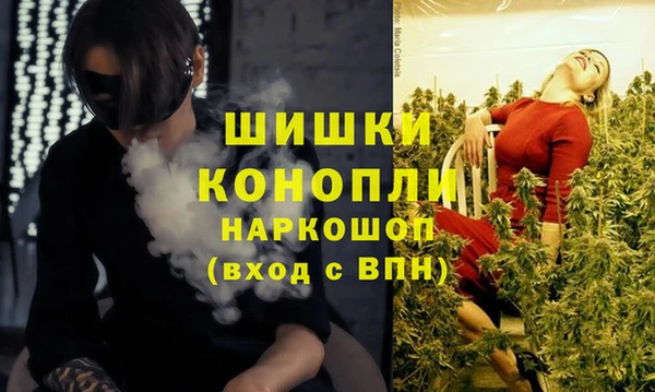 стаф Гусь-Хрустальный