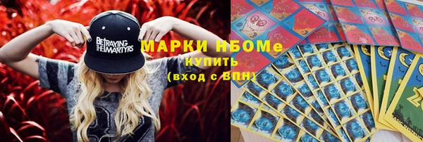 индика Горно-Алтайск