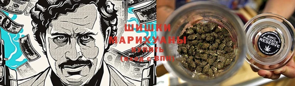 сатива Горнозаводск