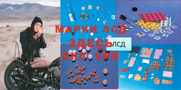 сатива Горнозаводск