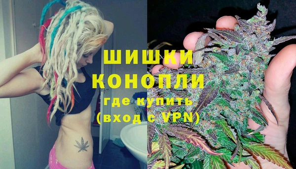 гидра Гусиноозёрск