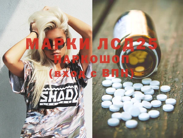 индика Горно-Алтайск